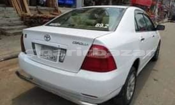 কেনা ব্যবহৃত Toyota Corolla White গাড়ী মধ্যে ঢাকা মধ্যে Dhaka কেনা ব্যবহৃত Toyota Corolla White গাড়ী মধ্যে ঢাকা মধ্যে Dhaka
