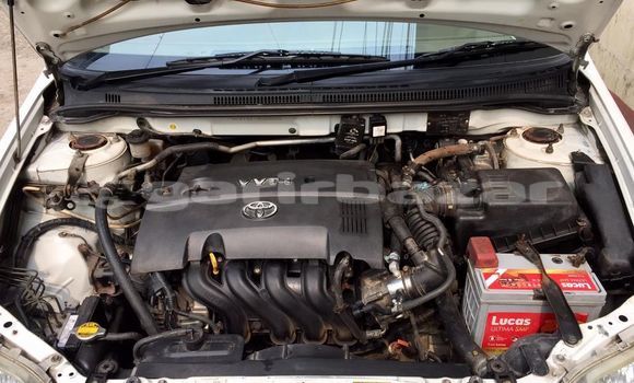 কেনা ব্যবহৃত Toyota Corolla White গাড়ী মধ্যে ঢাকা মধ্যে Dhaka কেনা ব্যবহৃত Toyota Corolla White গাড়ী মধ্যে ঢাকা মধ্যে Dhaka