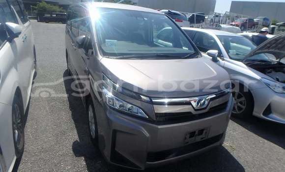 কেনা ব্যবহৃত Toyota Voxy Other গাড়ী মধ্যে ঢাকা মধ্যে Dhaka কেনা ব্যবহৃত Toyota Voxy Other গাড়ী মধ্যে ঢাকা মধ্যে Dhaka