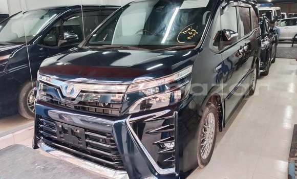 কেনা ব্যবহৃত Toyota Voxy Black গাড়ী মধ্যে ঢাকা মধ্যে Dhaka কেনা ব্যবহৃত Toyota Voxy Black গাড়ী মধ্যে ঢাকা মধ্যে Dhaka