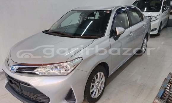 কেনা ব্যবহৃত Toyota axio Other গাড়ী মধ্যে ঢাকা মধ্যে Dhaka কেনা ব্যবহৃত Toyota axio Other গাড়ী মধ্যে ঢাকা মধ্যে Dhaka