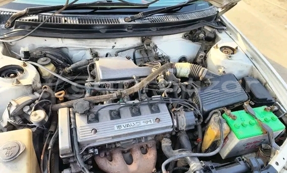 Buy Used Toyota Corolla in Bandarban, Bandarban Buy Used Toyota Corolla in Bandarban, Bandarban