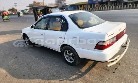 Buy Used Toyota Corolla in Bandarban, Bandarban Buy Used Toyota Corolla in Bandarban, Bandarban