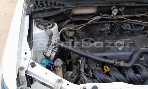 কেনা ব্যবহৃত Toyota Probox White গাড়ী মধ্যে ঢাকা মধ্যে Dhaka কেনা ব্যবহৃত Toyota Probox White গাড়ী মধ্যে ঢাকা মধ্যে Dhaka