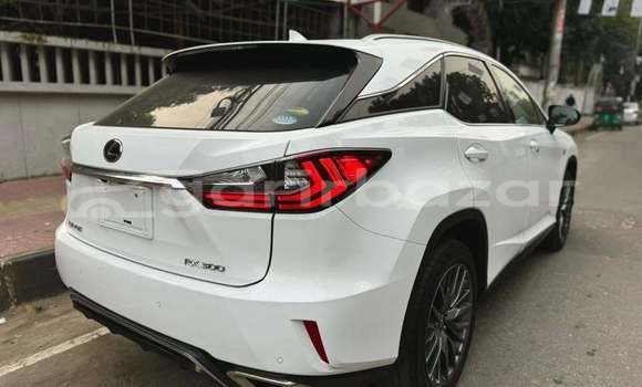 কেনা ব্যবহৃত Lexus RX 300 White গাড়ী মধ্যে ঢাকা মধ্যে Dhaka কেনা ব্যবহৃত Lexus RX 300 White গাড়ী মধ্যে ঢাকা মধ্যে Dhaka