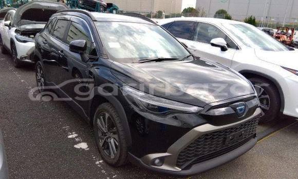 Buy Used 2019 Toyota corolla in Dhaka, Dhaka Buy Used 2019 Toyota corolla in Dhaka, Dhaka