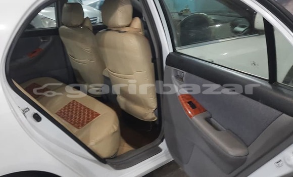 কেনা ব্যবহৃত Toyota Corolla White গাড়ী মধ্যে ঢাকা মধ্যে Dhaka কেনা ব্যবহৃত Toyota Corolla White গাড়ী মধ্যে ঢাকা মধ্যে Dhaka