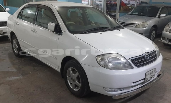 কেনা ব্যবহৃত Toyota Corolla White গাড়ী মধ্যে ঢাকা মধ্যে Dhaka কেনা ব্যবহৃত Toyota Corolla White গাড়ী মধ্যে ঢাকা মধ্যে Dhaka