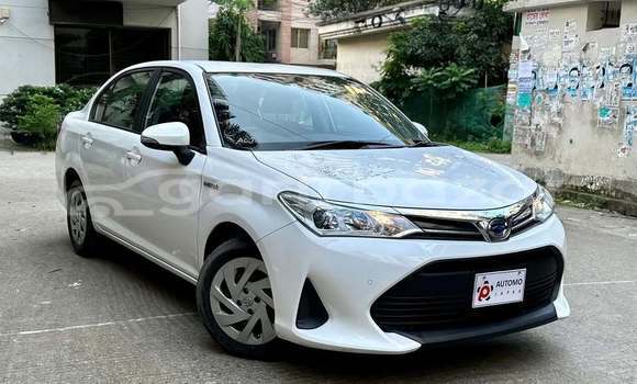 কেনা ব্যবহৃত Toyota axio White গাড়ী মধ্যে ঢাকা মধ্যে Dhaka কেনা ব্যবহৃত Toyota axio White গাড়ী মধ্যে ঢাকা মধ্যে Dhaka
