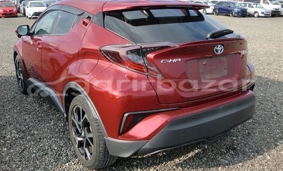কেনা ব্যবহৃত Toyota C-HR Red গাড়ী মধ্যে ঢাকা মধ্যে Dhaka কেনা ব্যবহৃত Toyota C-HR Red গাড়ী মধ্যে ঢাকা মধ্যে Dhaka