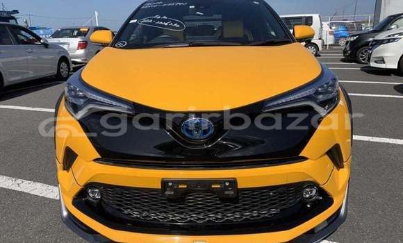 কেনা ব্যবহৃত Toyota c-hr Other গাড়ী মধ্যে ঢাকা মধ্যে Dhaka কেনা ব্যবহৃত Toyota c-hr Other গাড়ী মধ্যে ঢাকা মধ্যে Dhaka