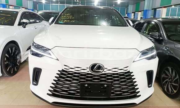 কেনা ব্যবহৃত Lexus Rx White গাড়ী মধ্যে ঢাকা মধ্যে Dhaka কেনা ব্যবহৃত Lexus Rx White গাড়ী মধ্যে ঢাকা মধ্যে Dhaka