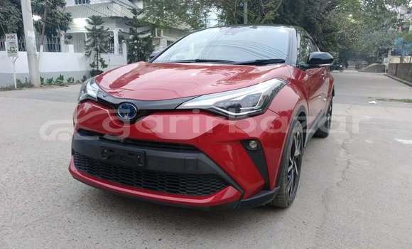 কেনা ব্যবহৃত Toyota CHR Red গাড়ী মধ্যে ঢাকা মধ্যে Dhaka কেনা ব্যবহৃত Toyota CHR Red গাড়ী মধ্যে ঢাকা মধ্যে Dhaka