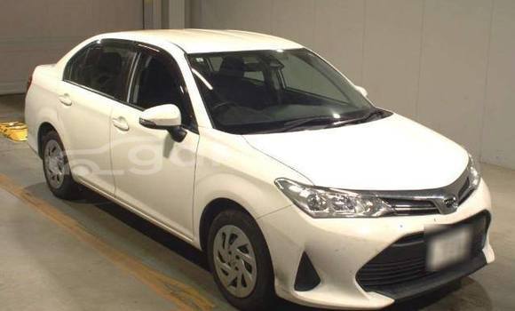 কেনা ব্যবহৃত Toyota axio White গাড়ী মধ্যে ঢাকা মধ্যে Dhaka কেনা ব্যবহৃত Toyota axio White গাড়ী মধ্যে ঢাকা মধ্যে Dhaka