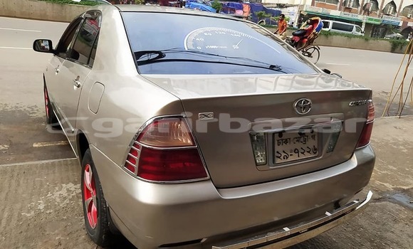 কেনা ব্যবহৃত Toyota Corolla Beige গাড়ী মধ্যে ঢাকা মধ্যে Dhaka কেনা ব্যবহৃত Toyota Corolla Beige গাড়ী মধ্যে ঢাকা মধ্যে Dhaka