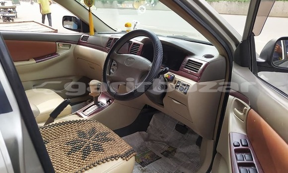 কেনা ব্যবহৃত Toyota Corolla Beige গাড়ী মধ্যে ঢাকা মধ্যে Dhaka কেনা ব্যবহৃত Toyota Corolla Beige গাড়ী মধ্যে ঢাকা মধ্যে Dhaka