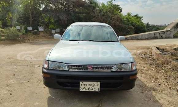 Buy Used 2003 Toyota Corolla in Dhaka, Dhaka Buy Used 2003 Toyota Corolla in Dhaka, Dhaka