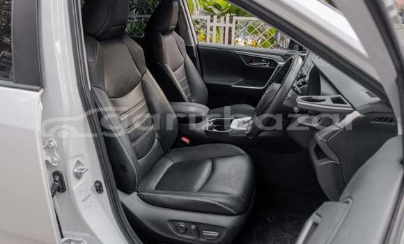 কেনা ব্যবহৃত Toyota RAV4 White গাড়ী মধ্যে ঢাকা মধ্যে Dhaka কেনা ব্যবহৃত Toyota RAV4 White গাড়ী মধ্যে ঢাকা মধ্যে Dhaka