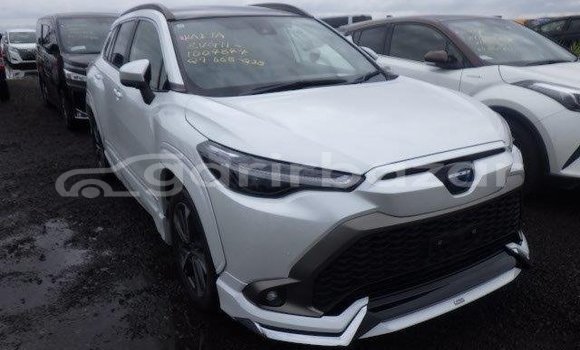 কেনা ব্যবহৃত Toyota Corolla White গাড়ী মধ্যে ঢাকা মধ্যে Dhaka কেনা ব্যবহৃত Toyota Corolla White গাড়ী মধ্যে ঢাকা মধ্যে Dhaka