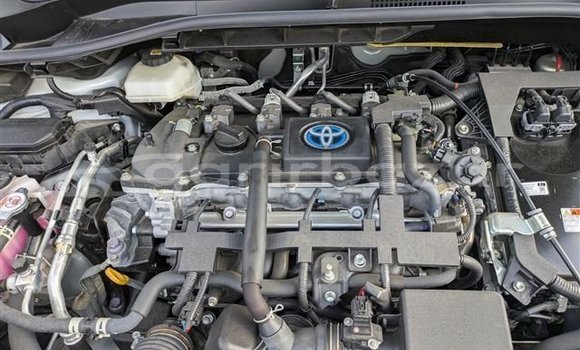 কেনা ব্যবহৃত Toyota Corolla White গাড়ী মধ্যে ঢাকা মধ্যে Dhaka কেনা ব্যবহৃত Toyota Corolla White গাড়ী মধ্যে ঢাকা মধ্যে Dhaka