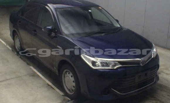 কেনা ব্যবহৃত Toyota Axio Blue গাড়ী মধ্যে ঢাকা মধ্যে Dhaka কেনা ব্যবহৃত Toyota Axio Blue গাড়ী মধ্যে ঢাকা মধ্যে Dhaka