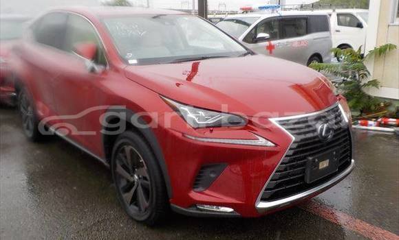 Buy Used 2019 Lexus NX in Dhaka, Dhaka Buy Used 2019 Lexus NX in Dhaka, Dhaka