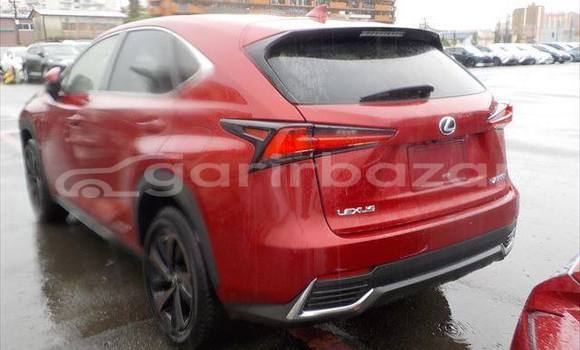 Buy Used 2019 Lexus NX in Dhaka, Dhaka Buy Used 2019 Lexus NX in Dhaka, Dhaka