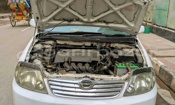 Buy Used Toyota Corolla in Bandarban, Bandarban Buy Used Toyota Corolla in Bandarban, Bandarban