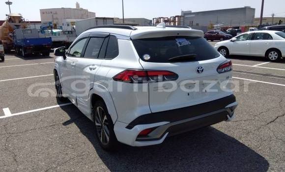 Buy Used 2021 Toyota corolla in Dhaka, Dhaka Buy Used 2021 Toyota corolla in Dhaka, Dhaka