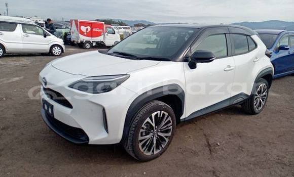 কেনা ব্যবহৃত Toyota Yaris White গাড়ী মধ্যে ঢাকা মধ্যে Dhaka কেনা ব্যবহৃত Toyota Yaris White গাড়ী মধ্যে ঢাকা মধ্যে Dhaka