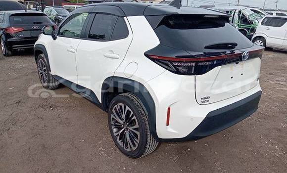 কেনা ব্যবহৃত Toyota Yaris White গাড়ী মধ্যে ঢাকা মধ্যে Dhaka কেনা ব্যবহৃত Toyota Yaris White গাড়ী মধ্যে ঢাকা মধ্যে Dhaka