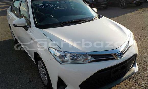 কেনা ব্যবহৃত Toyota axio White গাড়ী মধ্যে ঢাকা মধ্যে Dhaka কেনা ব্যবহৃত Toyota axio White গাড়ী মধ্যে ঢাকা মধ্যে Dhaka