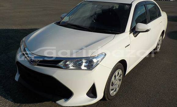 কেনা ব্যবহৃত Toyota axio White গাড়ী মধ্যে ঢাকা মধ্যে Dhaka কেনা ব্যবহৃত Toyota axio White গাড়ী মধ্যে ঢাকা মধ্যে Dhaka