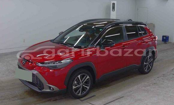 কেনা ব্যবহৃত Toyota corolla Red গাড়ী মধ্যে ঢাকা মধ্যে Dhaka কেনা ব্যবহৃত Toyota corolla Red গাড়ী মধ্যে ঢাকা মধ্যে Dhaka