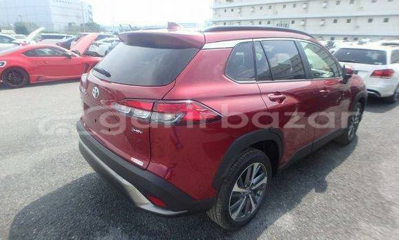 কেনা ব্যবহৃত Toyota corolla Red গাড়ী মধ্যে ঢাকা মধ্যে Dhaka কেনা ব্যবহৃত Toyota corolla Red গাড়ী মধ্যে ঢাকা মধ্যে Dhaka