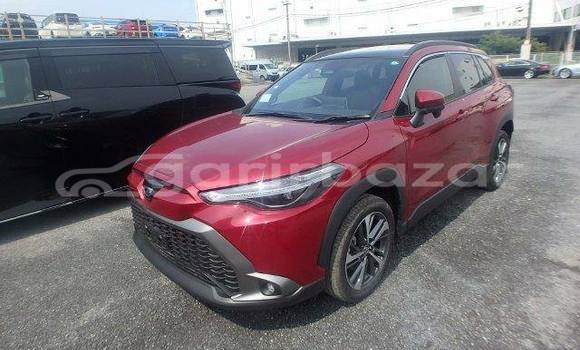 কেনা ব্যবহৃত Toyota corolla Red গাড়ী মধ্যে ঢাকা মধ্যে Dhaka কেনা ব্যবহৃত Toyota corolla Red গাড়ী মধ্যে ঢাকা মধ্যে Dhaka