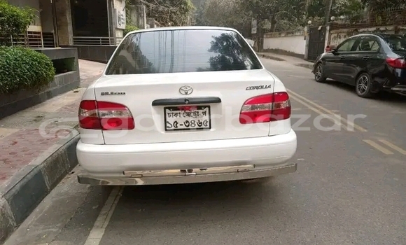 কেনা ব্যবহৃত Toyota Corolla 2005 2006 White গাড়ী মধ্যে বান্দরবান মধ্যে Bandarban কেনা ব্যবহৃত Toyota Corolla 2005 2006 White গাড়ী মধ্যে বান্দরবান মধ্যে Bandarban