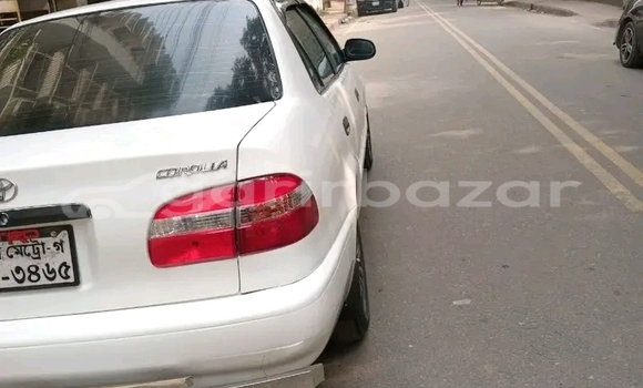 কেনা ব্যবহৃত Toyota Corolla 2005 2006 White গাড়ী মধ্যে বান্দরবান মধ্যে Bandarban কেনা ব্যবহৃত Toyota Corolla 2005 2006 White গাড়ী মধ্যে বান্দরবান মধ্যে Bandarban