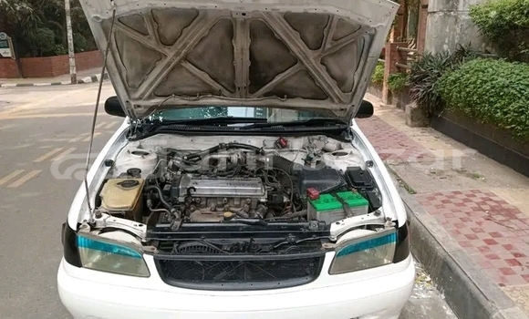 কেনা ব্যবহৃত Toyota Corolla 2005 2006 White গাড়ী মধ্যে বান্দরবান মধ্যে Bandarban কেনা ব্যবহৃত Toyota Corolla 2005 2006 White গাড়ী মধ্যে বান্দরবান মধ্যে Bandarban