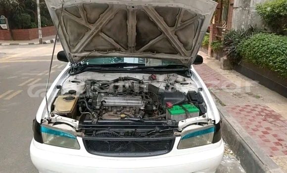 কেনা ব্যবহৃত Toyota Corolla 2005 2006 White গাড়ী মধ্যে বান্দরবান মধ্যে Bandarban কেনা ব্যবহৃত Toyota Corolla 2005 2006 White গাড়ী মধ্যে বান্দরবান মধ্যে Bandarban