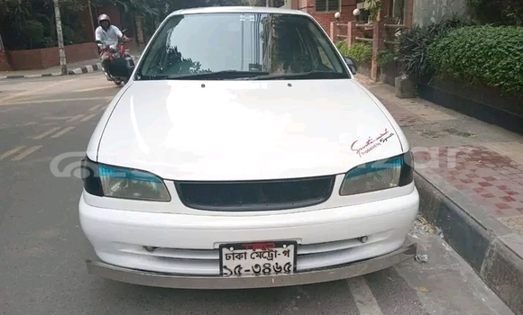 কেনা ব্যবহৃত Toyota Corolla 2005 2006 White গাড়ী মধ্যে বান্দরবান মধ্যে Bandarban কেনা ব্যবহৃত Toyota Corolla 2005 2006 White গাড়ী মধ্যে বান্দরবান মধ্যে Bandarban