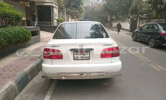 কেনা ব্যবহৃত Toyota Corolla 2005 2006 White গাড়ী মধ্যে বান্দরবান মধ্যে Bandarban কেনা ব্যবহৃত Toyota Corolla 2005 2006 White গাড়ী মধ্যে বান্দরবান মধ্যে Bandarban