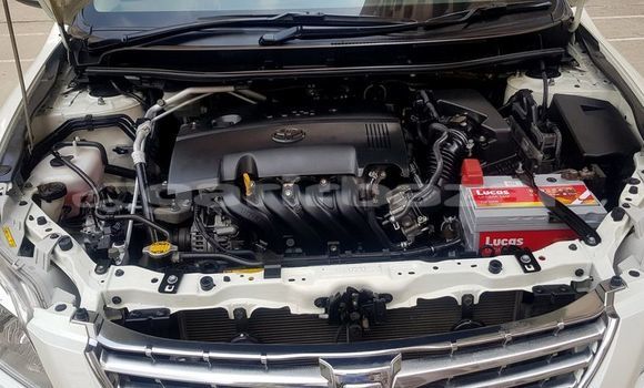 কেনা ব্যবহৃত Toyota Premio White গাড়ী মধ্যে ঢাকা মধ্যে Dhaka কেনা ব্যবহৃত Toyota Premio White গাড়ী মধ্যে ঢাকা মধ্যে Dhaka