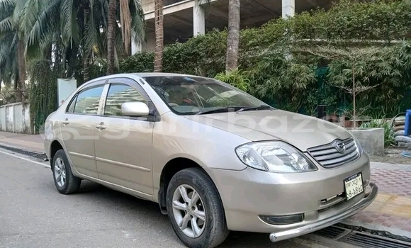 কেনা ব্যবহৃত Toyota Corolla cross z leather 360° 2021 White গাড়ী মধ্যে বান্দরবান মধ্যে Bandarban কেনা ব্যবহৃত Toyota Corolla cross z leather 360° 2021 White গাড়ী মধ্যে বান্দরবান মধ্যে Bandarban