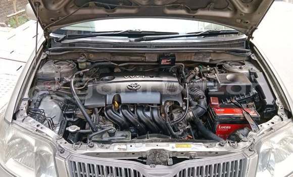 কেনা ব্যবহৃত Toyota axio fielder Other গাড়ী মধ্যে ঢাকা মধ্যে Dhaka কেনা ব্যবহৃত Toyota axio fielder Other গাড়ী মধ্যে ঢাকা মধ্যে Dhaka