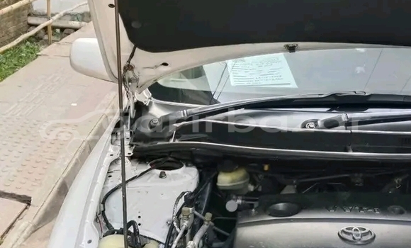 কেনা ব্যবহৃত Toyota Axio White গাড়ী মধ্যে আদমদিঘী মধ্যে Bogora কেনা ব্যবহৃত Toyota Axio White গাড়ী মধ্যে আদমদিঘী মধ্যে Bogora