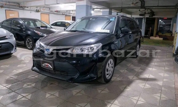 কেনা ব্যবহৃত Toyota Fielder g (pet/oct) 2019 Other গাড়ী মধ্যে বান্দরবান মধ্যে Bandarban কেনা ব্যবহৃত Toyota Fielder g (pet/oct) 2019 Other গাড়ী মধ্যে বান্দরবান মধ্যে Bandarban