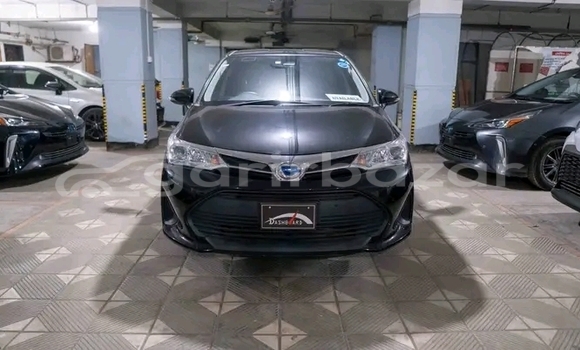 কেনা ব্যবহৃত Toyota Fielder g (pet/oct) 2019 Other গাড়ী মধ্যে বান্দরবান মধ্যে Bandarban কেনা ব্যবহৃত Toyota Fielder g (pet/oct) 2019 Other গাড়ী মধ্যে বান্দরবান মধ্যে Bandarban