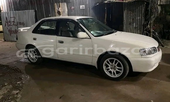 কেনা ব্যবহৃত Toyota 110 White গাড়ী মধ্যে বান্দরবান মধ্যে Bandarban কেনা ব্যবহৃত Toyota 110 White গাড়ী মধ্যে বান্দরবান মধ্যে Bandarban