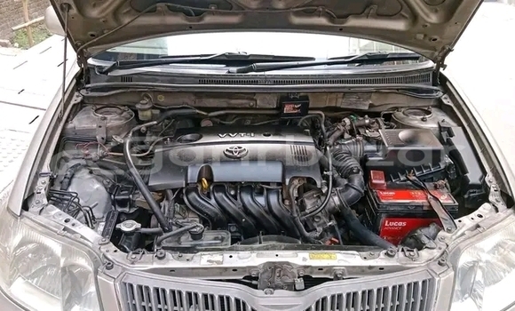 কেনা ব্যবহৃত Toyota Fielder Other গাড়ী মধ্যে বান্দরবান মধ্যে Bandarban কেনা ব্যবহৃত Toyota Fielder Other গাড়ী মধ্যে বান্দরবান মধ্যে Bandarban